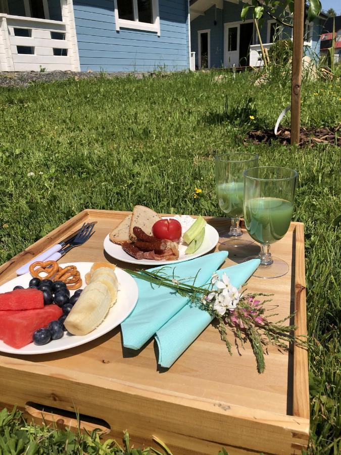Domek Caloroczny Na Wylacznosc Niebieska Osada Nad Gorskim Potokiem Stary Waliszow 외부 사진