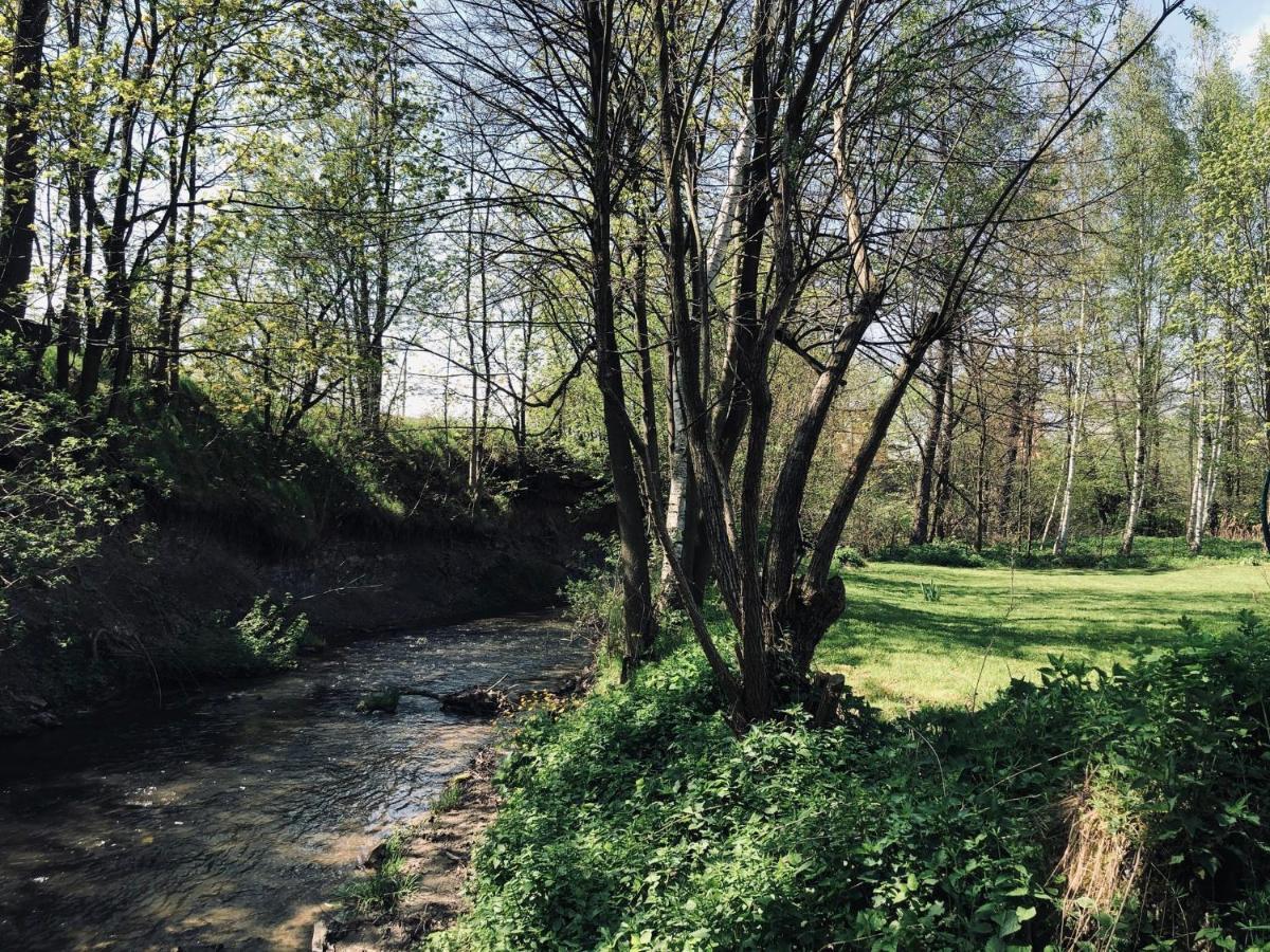 Domek Caloroczny Na Wylacznosc Niebieska Osada Nad Gorskim Potokiem Stary Waliszow 외부 사진