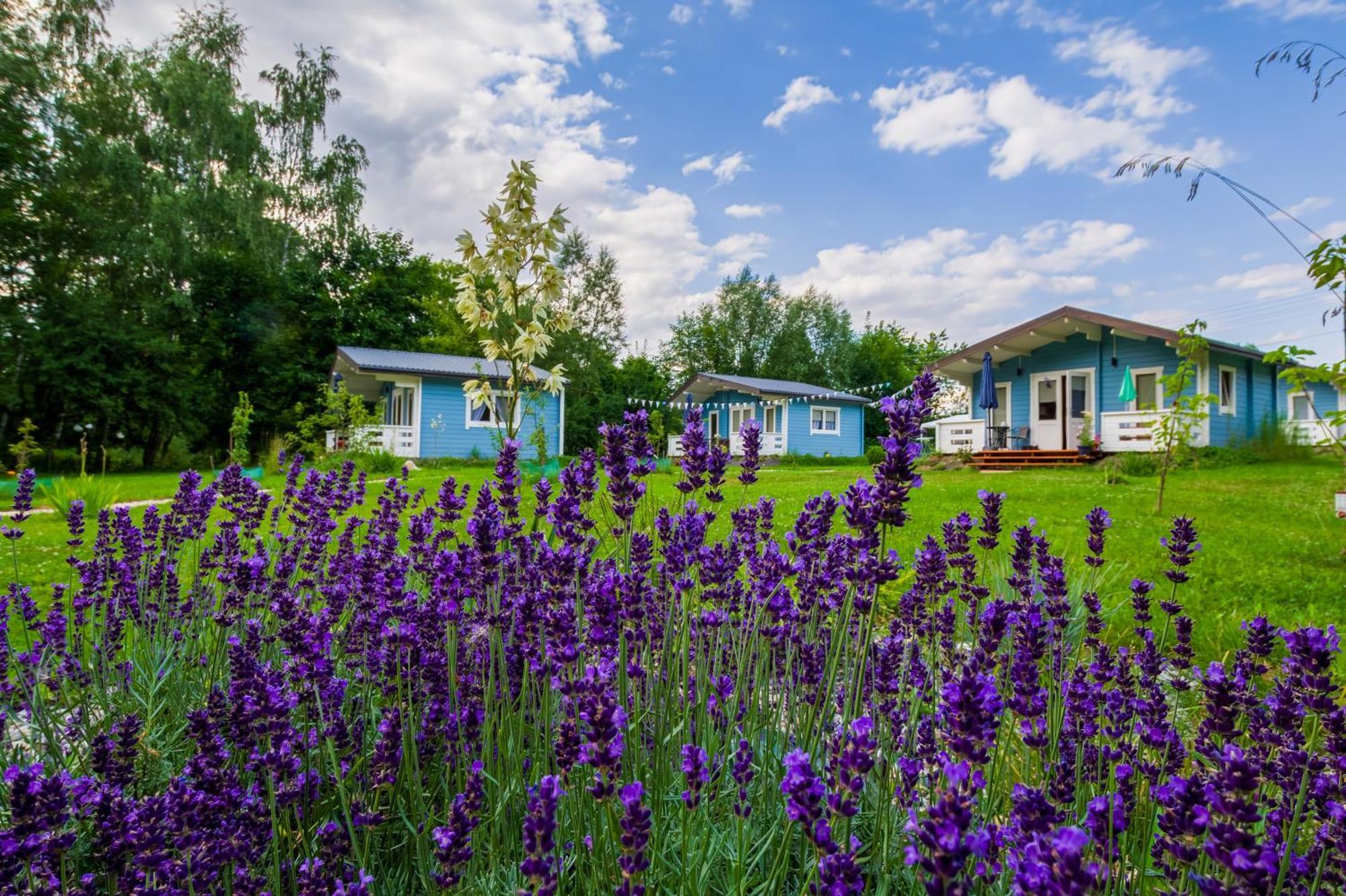 Domek Caloroczny Na Wylacznosc Niebieska Osada Nad Gorskim Potokiem Stary Waliszow 외부 사진