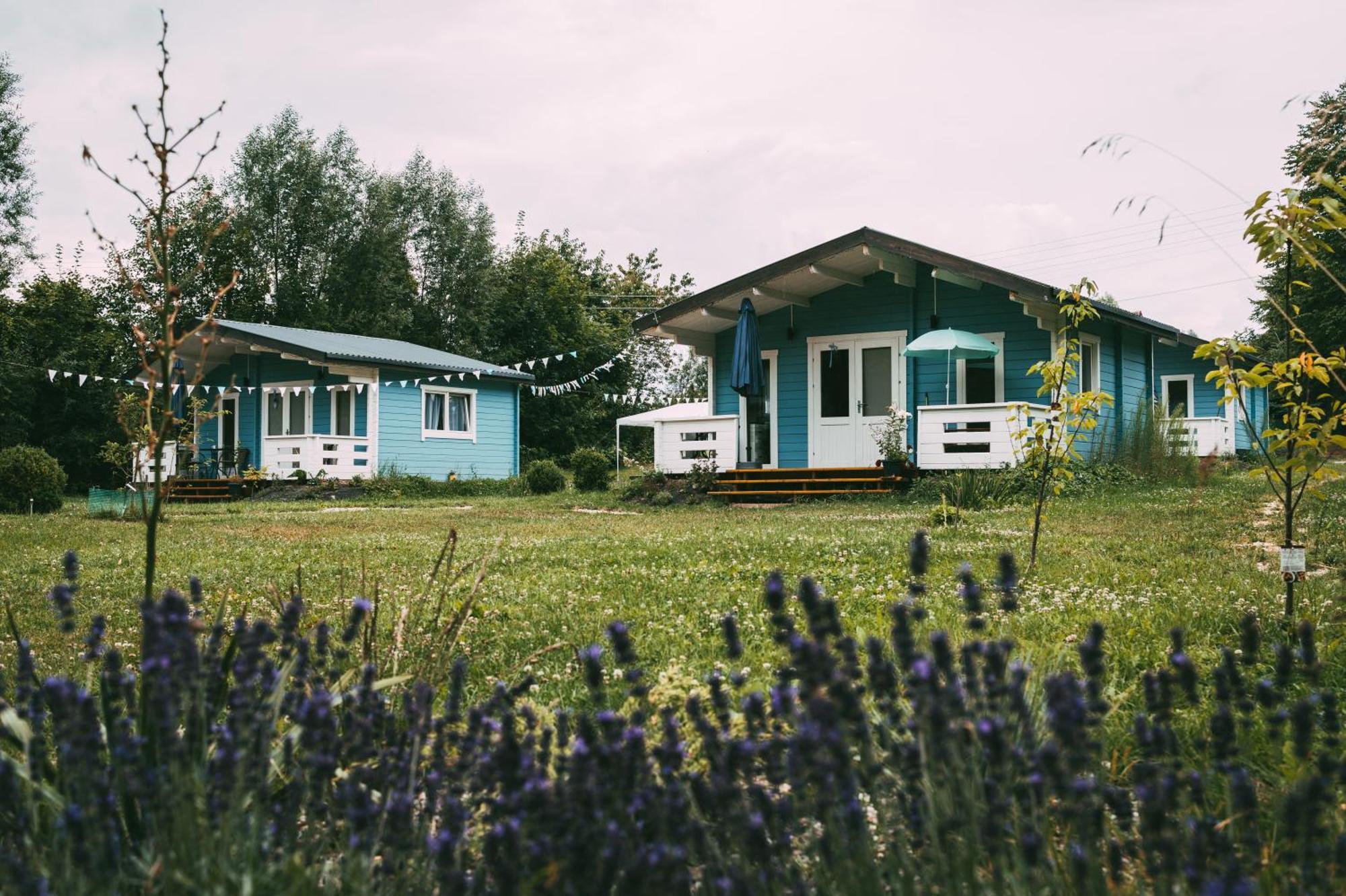 Domek Caloroczny Na Wylacznosc Niebieska Osada Nad Gorskim Potokiem Stary Waliszow 외부 사진